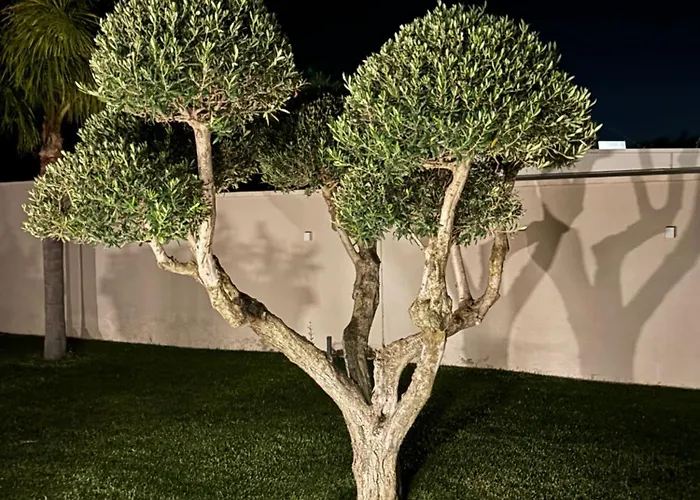 Private Villa, Sun & Pool *